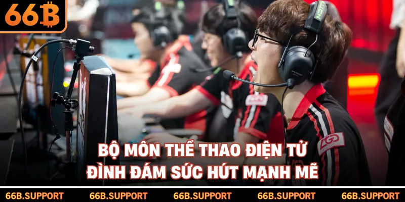 Bộ môn thể thao điện tử đình đám sức hút mạnh mẽ