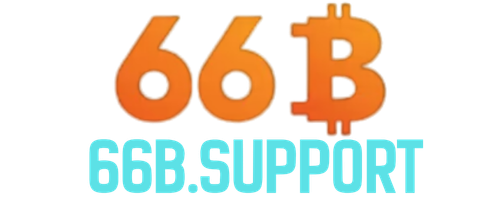 66b.support