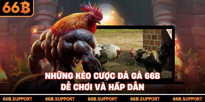 Những kèo cược đá gà 66B dễ chơi và hấp dẫn