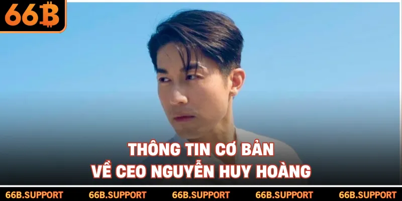 Thông tin cơ bản về CEO Nguyễn Huy Hoàng