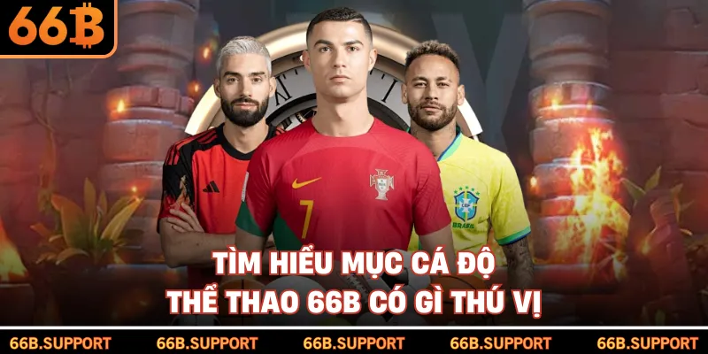 Tìm hiểu mục cá độ thể thao 66B có gì thú vị